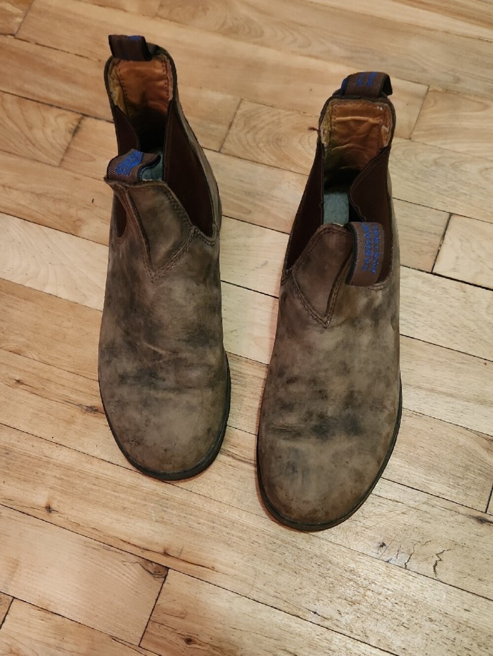 Blundstone Brown Chelsea Ankle Boots - Picture 11 of 12